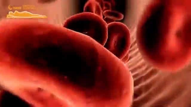 3D Матрас Fohow с эффектом магнитотерапии смотреть онлайн