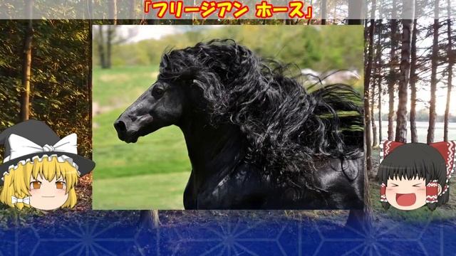 【ゆっくり解説】神々しくも幻想的な、実在する馬 4選【ウマ娘1周年記念】 смотреть онлайн
