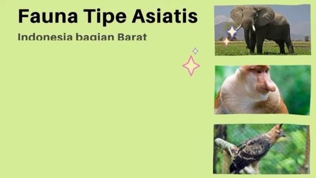 Keragamna Flora Dan Fauna di Indonesia смотреть онлайн