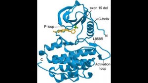 EGFR Tyrosine kinase domain with Erlotinib