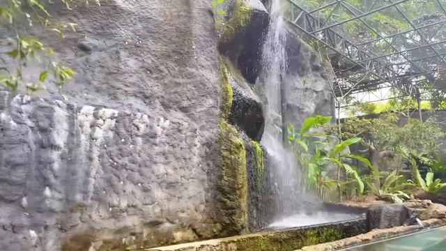 Rs.950ට River Safari & more in Sri Lanka🇱🇰😍| කැලණියෙ Underwater Tunnel එක❤️(සිංහල vlog) #sinhala смотреть онлайн