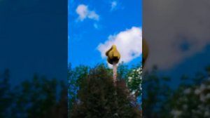 ACA Allertor 125 Siren - Alert - Wausau, WI