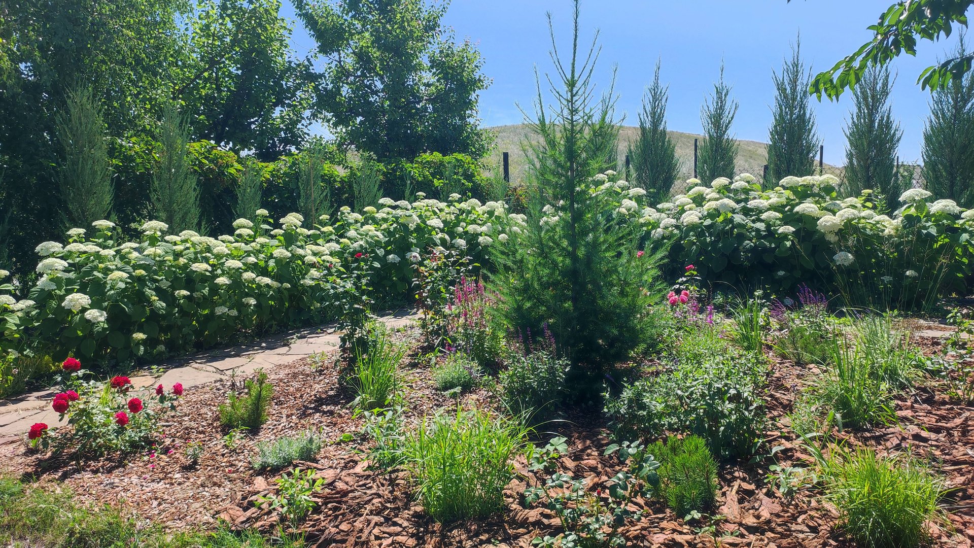 Миксбордер в природном стиле своими руками