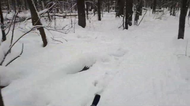 Лыжи декабрь 2020 - январь 2021 смотреть онлайн