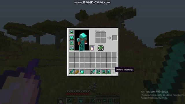 Играю На Своём сервере С другом ПВП