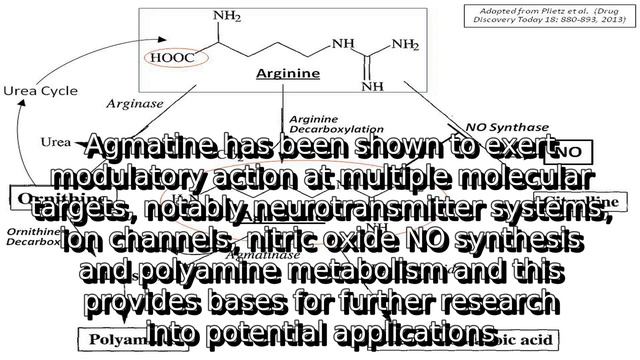 Learn about agmatine | what is agmatine смотреть онлайн