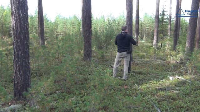 Timber Cruising - Forest Inventory
