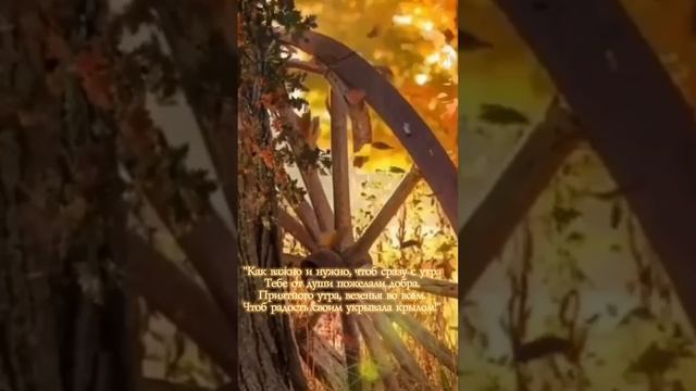 Приятного утра, везенья во всём смотреть онлайн