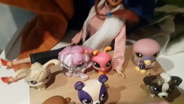 А вы дагадаетесь какой пароды собака?ответ будет в описании по следующим видео!