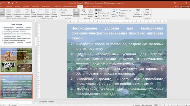 Джуланов М.Н. - Лекция 1 Физиология полового аппарата самок смотреть онлайн