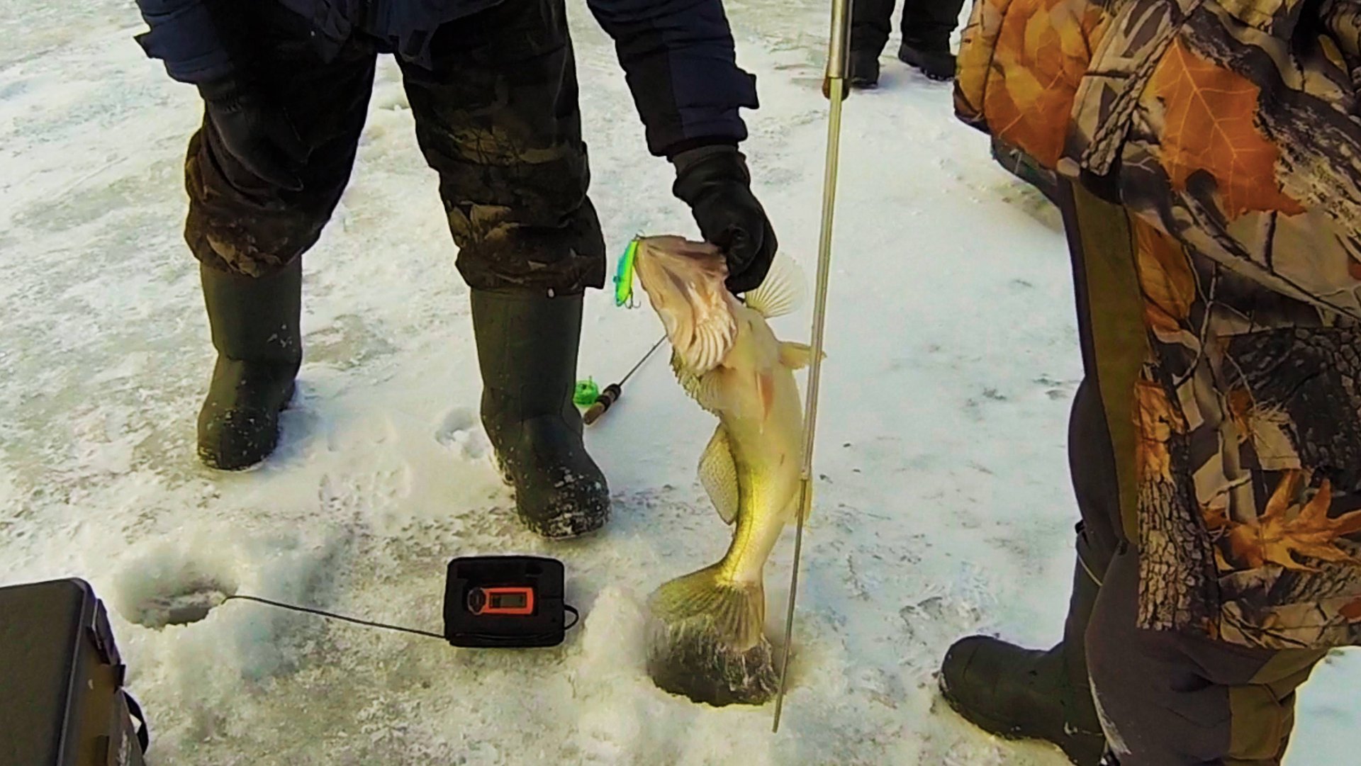 Трёшник в ЛУНКЕ! Один ловит, Остальные завидуют! Зимняя рыбалка на реке Бердь. СУДАК зимой 2023! смотреть онлайн