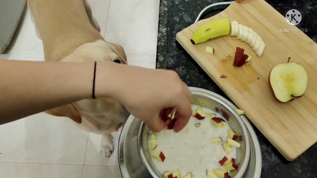 OATMEAL For My Dear Dog Bunty 🐕. Home Made Healthy VEGETARIAN Food.ओट्स फ्रूट पॉरिज