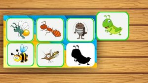 НАСЕКОМЫЕ  Развивающие мультики для детей  Учим насекомых ДЛЯ МАЛЫШЕЙ