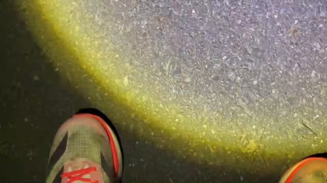 2024年12月31日 【125Km】魂の霞ヶ浦一周rta(Lv346647122) うまごん 003 смотреть онлайн