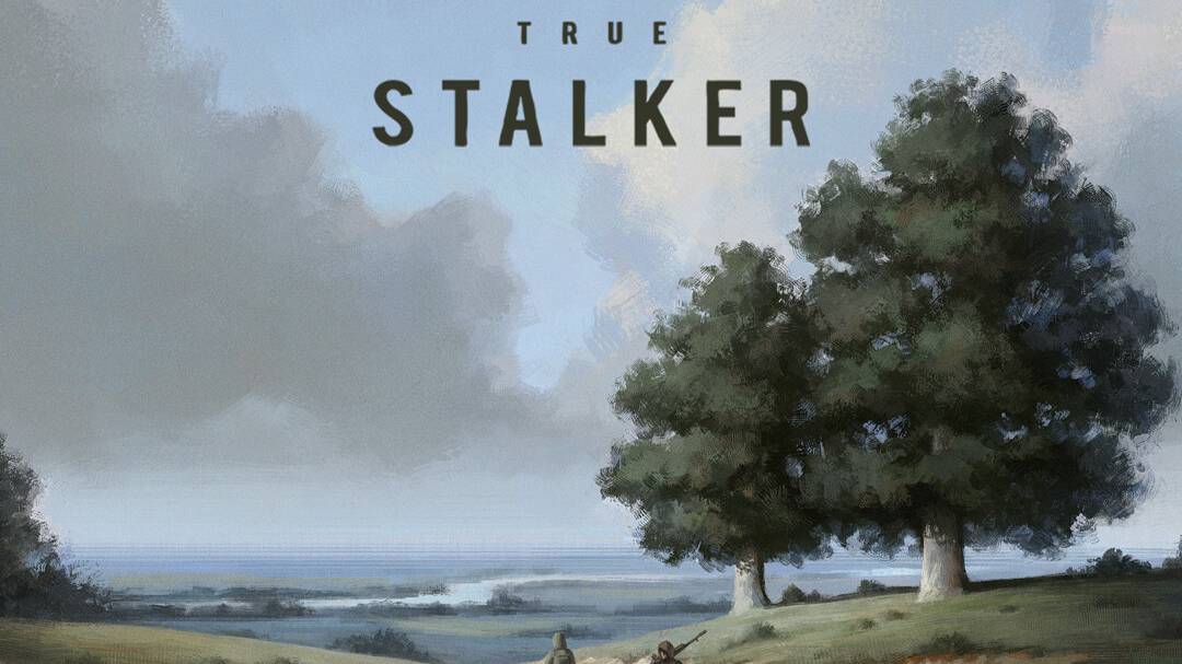True Stalker смотреть онлайн