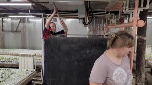 Частный дом | Куча дел и все разом | Модернизация теплицы