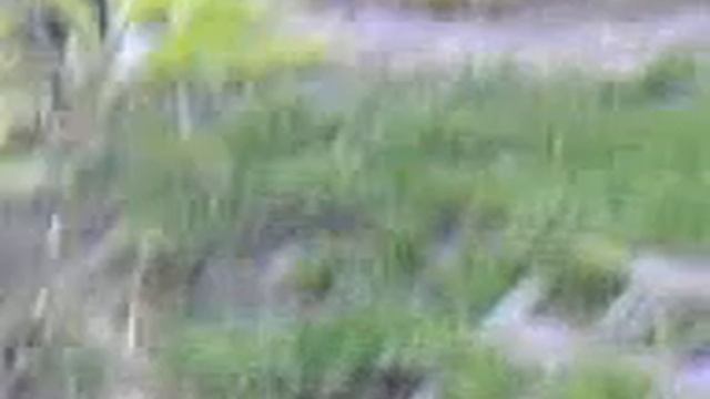 temporary смотреть онлайн