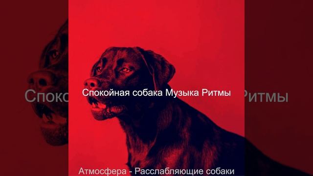 Музыка (Милые Собаки)