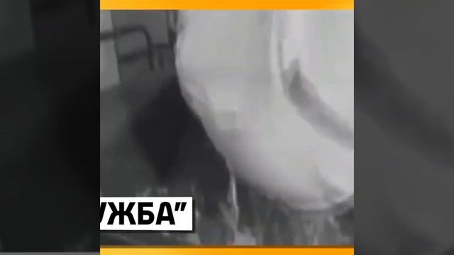 Плавленые сырки в СССР Факты смотреть онлайн