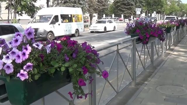 Живые краски Южного смотреть онлайн