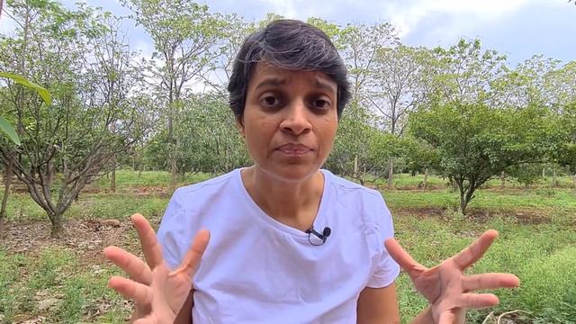 Iridium on Earth смотреть онлайн