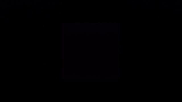 Самое интересное видео в мире