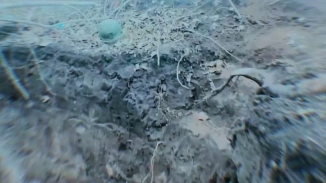 Будни снайперов 155-й бригады морской пехоты ТОФа в зоне СВО смотреть онлайн