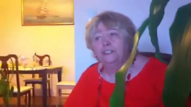 Kapustnyak смотреть онлайн