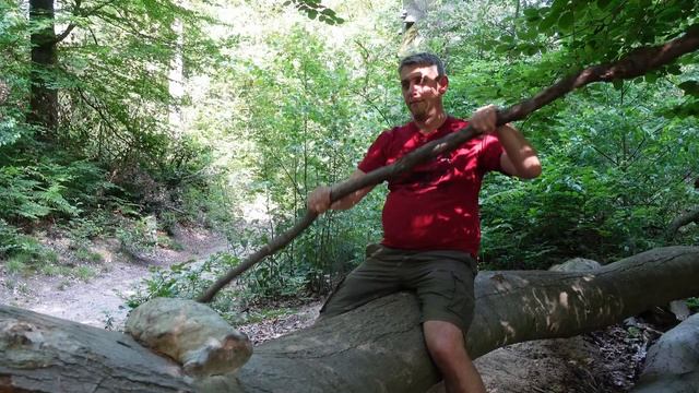 7 Tipps zum stressfreien Paddeln mit Kindern смотреть онлайн