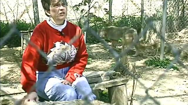 Wish TV 8 1990,s Broadcast Edit Tape-2 Betacam sp смотреть онлайн