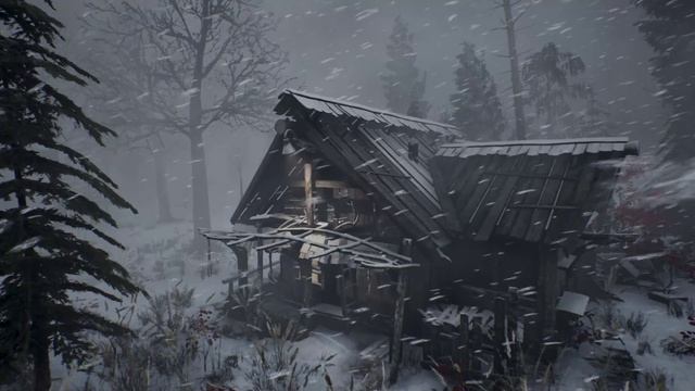 Леденящая зимняя буря в уютной бревенчатой хижине | Звуки метели | Завывающий ветер и метущий снег смотреть онлайн