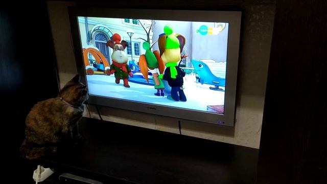 моя кошка Герда оценила стенку,ей удобней смотреть на ней любимые мультфильмы смотреть онлайн