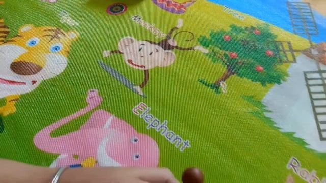 Taking Little Brother To The Magical ZOO World, Bringing Smile In Lockdown|Aahana Aurin