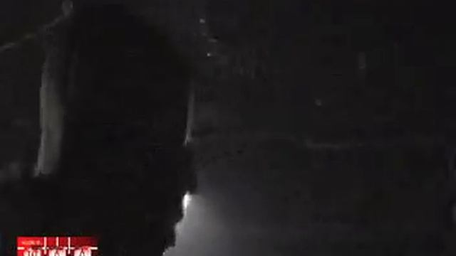 PREDATOR OR PREY: Ored vs Spunk Wop pt.1 смотреть онлайн