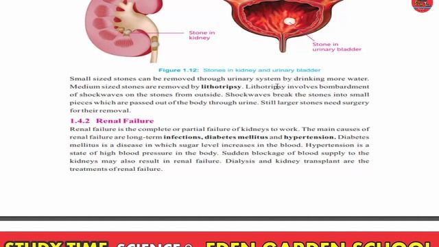 SCIENCE 8 (PTCB / EM) UNIT 1 HUMAN ORGAN SYSTEMS LECTURE 7 MALFUNCTIONING OF KIDNEYS смотреть онлайн