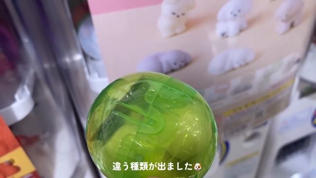 ［ vlog ］誕生月は財布の紐が緩みがちな大人の一人暮らし🐈🎂| Qoo10メガ割購入品| カフェ巡り| お気に入りのガチャガチャetc.. смотреть онлайн