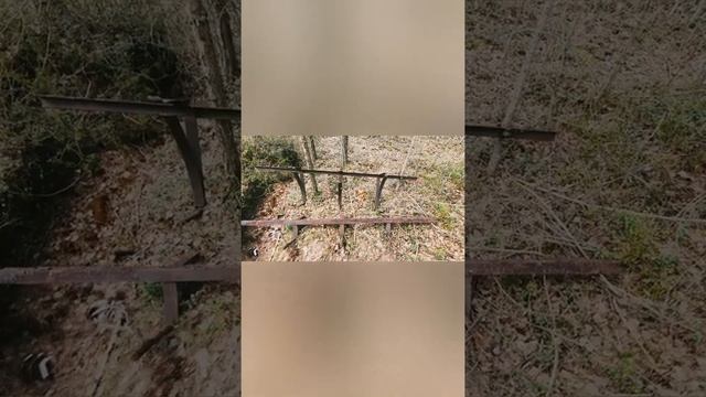 Поиск металла в лесу. смотреть онлайн