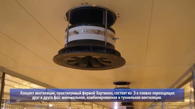 ВЫращивание броллера смотреть онлайн
