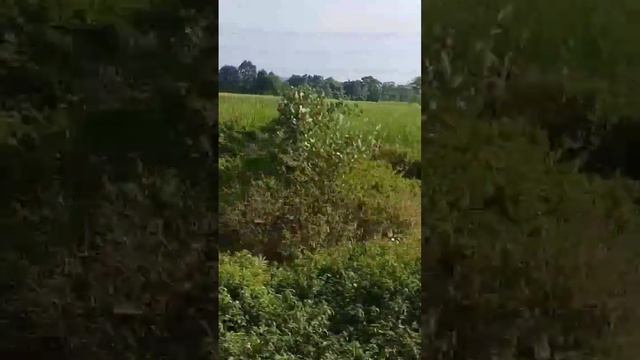 villages video's.... смотреть онлайн