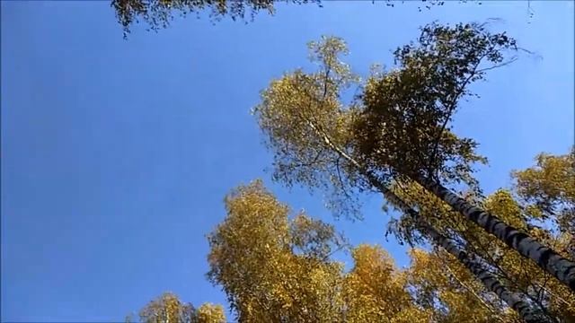 "Вчера мы встретились"(Sergei Rachmaninov- We Met Yesterday) смотреть онлайн