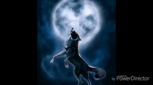 Клип про  Волков Песня -Timber(Захотелось  про волков)