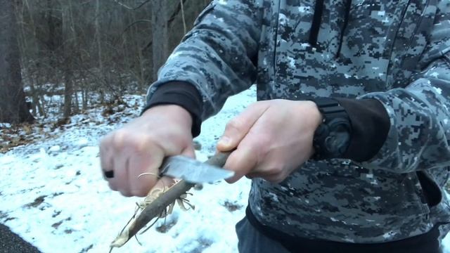 Work Tuff Gear Kitsune S: Compact Fixed Blade for EDC смотреть онлайн