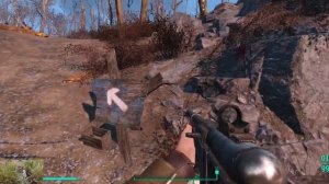 Квантовый олень Фоллаут 4 "Набор винтовок Manwell" ( модификация )