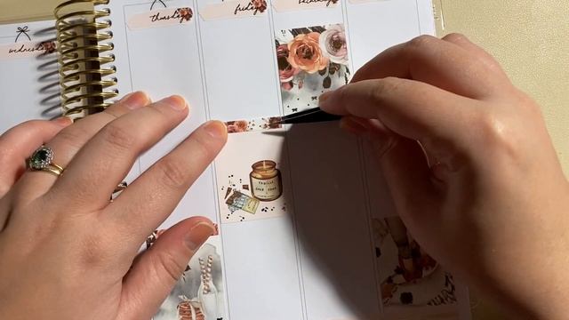 Plan With Me | Two L’il Bees смотреть онлайн