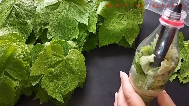 ինչպես պահել խաղողի տերևները շշի մեջ  և սառցախցիկում՝փորձված 3 տարբերակ, ինչպիսի տերևներ ընտրել