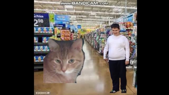 Ginger The Cat Asks Nikolai For Instant Noodles Too Many Times (PUNISHED)