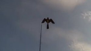 Визуальный отпугиватель птиц КРУК