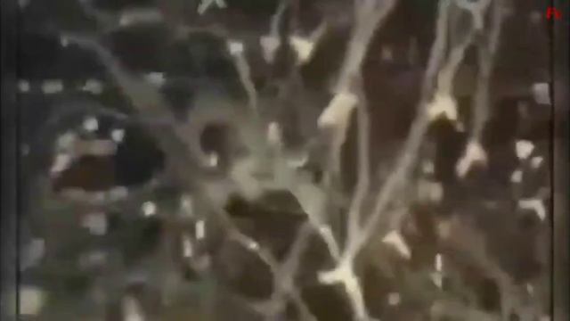 Электрокот Барсик смотреть онлайн