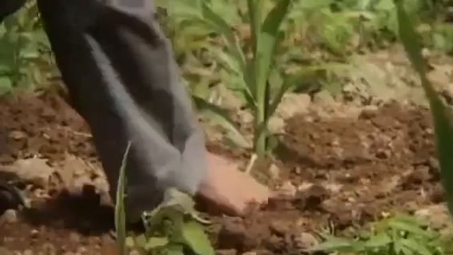 Суть настоящей духовной практики смотреть онлайн