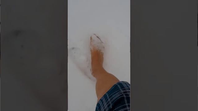 С Добрым Зимним утром